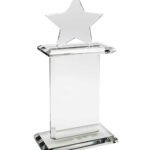 Pedestal Award w/Star, Starfire